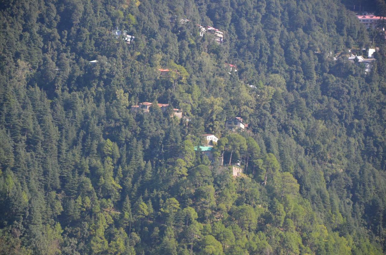 Peaceful Retreat Home Stay, דלהאוזי מראה חיצוני תמונה